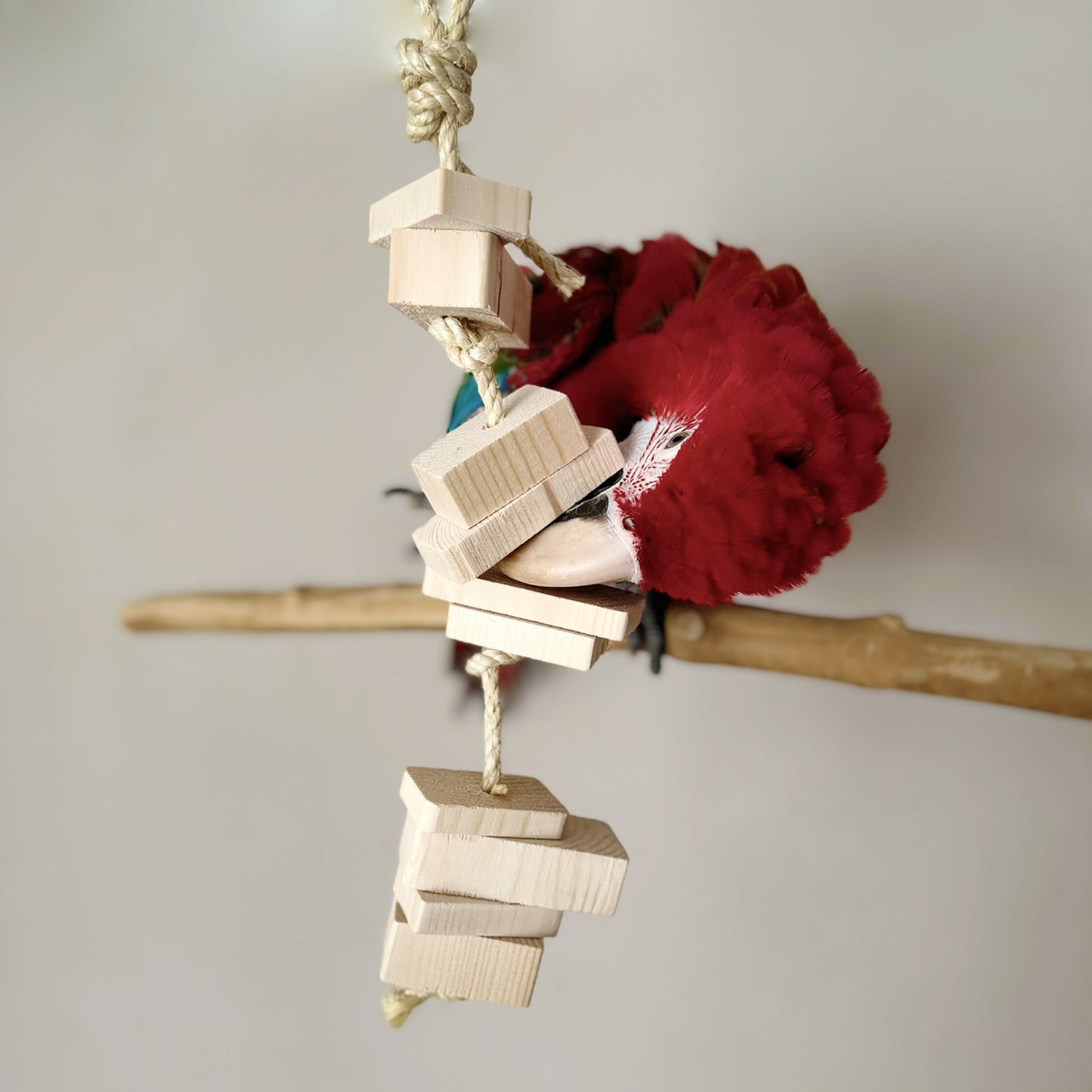 Single Strand Natural Wood Toy