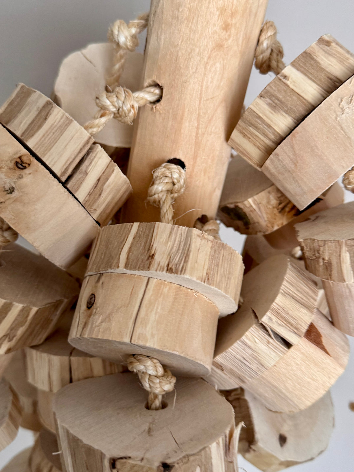 The Wood Wrecker – Advanced Chewer Parrot