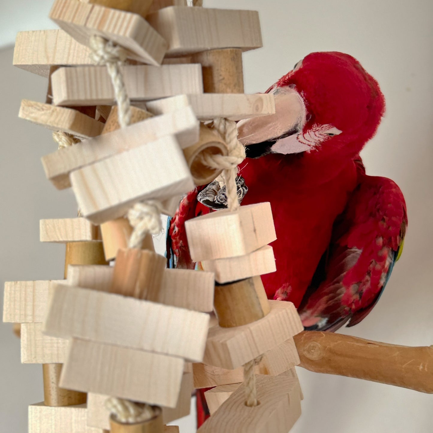 The Giant Natural Wood Toy