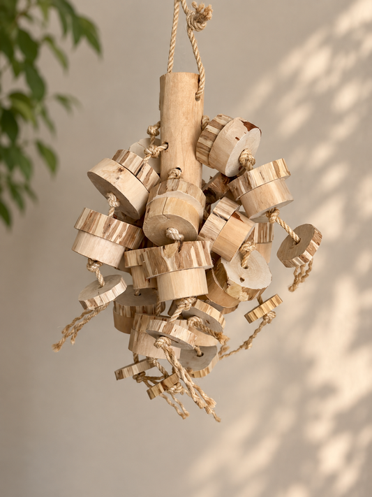 The Wood Wrecker – Advanced Chewer Parrot