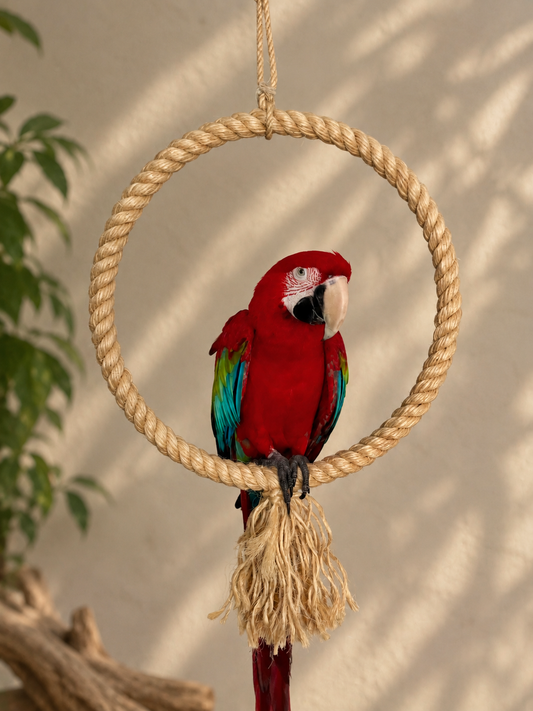 45cm Natural Sisal Rope Hoop Parrot Swing (24mm Rope)