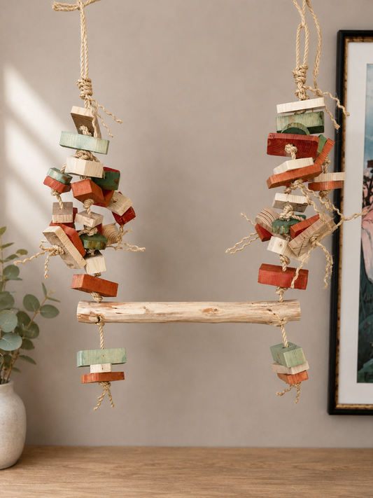 Orange and Green Macaw Parrot Swing