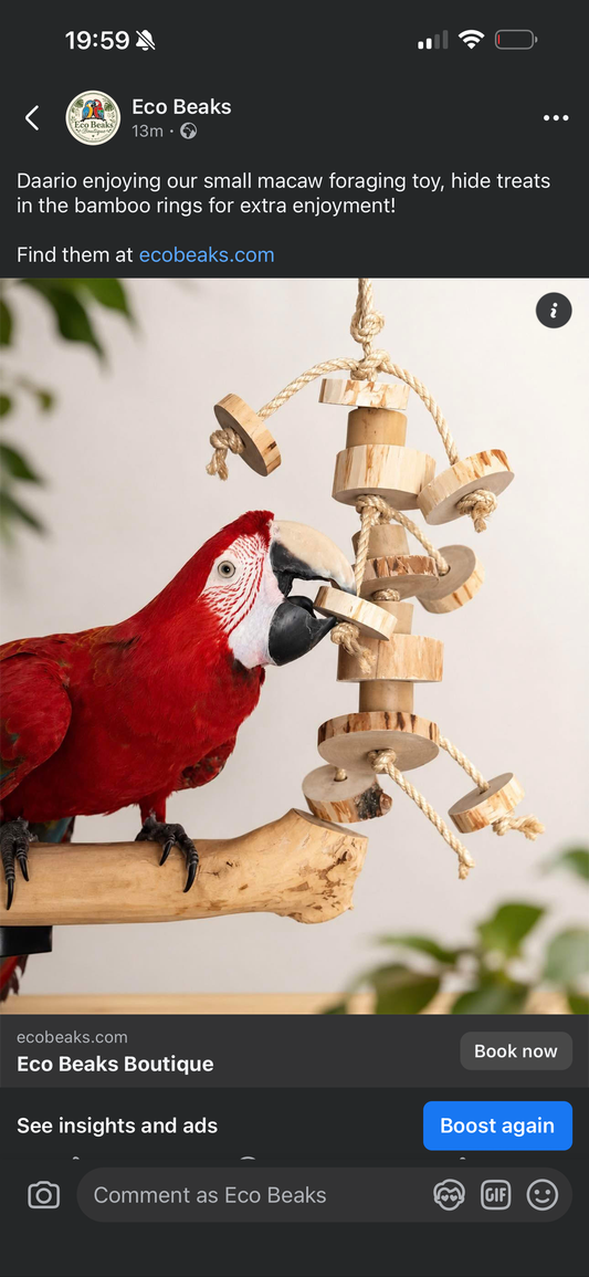 Medium Bamboo Forager Toy