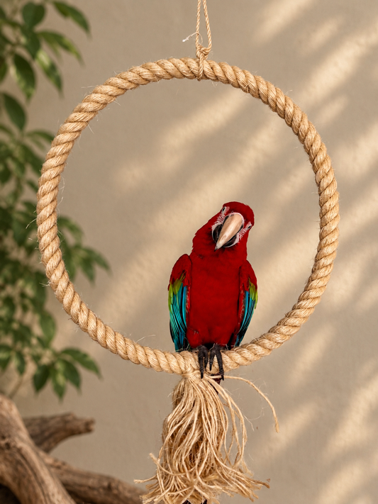 60 cm Natural Sisal Rope Hoop Parrot Swing (28mm Rope)